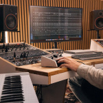 Контроллер студийных мониторов Palmer Palmer MONICON L G2