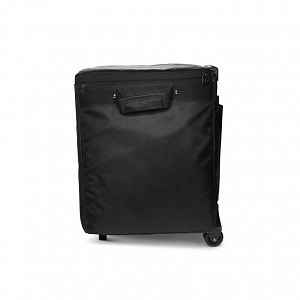 Комплект аксессуаров LD Systems DAVE 10 G4X BAG SET