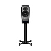 Полочная АС Dynaudio Confidence 20 Цвет: Полуночный глянец [MIDNIGHT HIGH GLOSS]