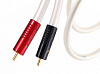 Межкомпонентный кабель Atlas Equator Achromatic RCA