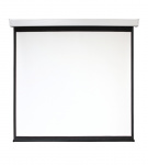 Экран настенный с электроприводом Digis DSEF-16909