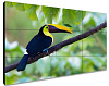 ЖК-панель для видеостен Exell EXPD-WA55BB15 55"