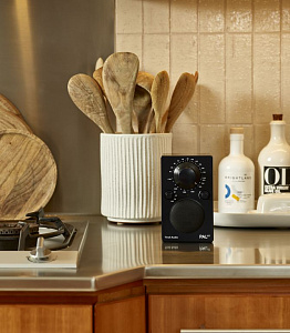 Портативный радиоприемник Tivoli PAL BT Цвет: Черный [Black]