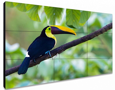 ЖК-панель для видеостен Exell EXPD-WA55AB05 55" ЖК-панель для видеостен Exell EXPD-WA55AB05 55"