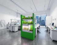 Комбинированная гидропонная система для экспериментальной деятельности в области растениеводства