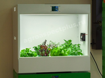 АГРОКЛАСС. Агролаборатория ECOBOX ED АГРОКЛАСС. Агролаборатория ECOBOX ED