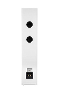 Комплект стереоусилитель Phaze Audio VOLT Цвет: Чёрный [Black] + напольная АС Phaze Audio Tilia 1 Цвет: White [Белый]